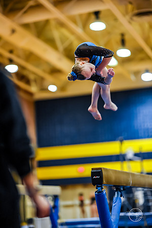 20260123 Senior Night Valley Gymnastics-337
