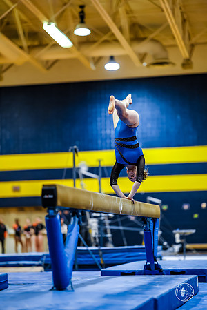 20260123 Senior Night Valley Gymnastics-347