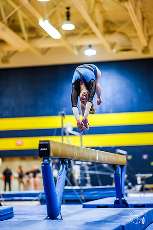 20260123 Senior Night Valley Gymnastics-348