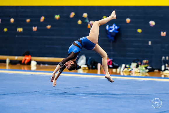 20260123 Senior Night Valley Gymnastics-358