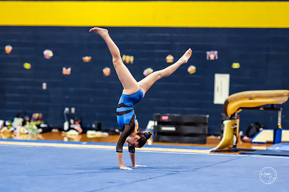 20260123 Senior Night Valley Gymnastics-361