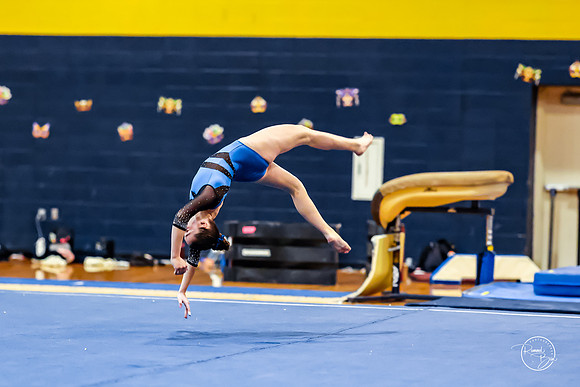 20260123 Senior Night Valley Gymnastics-362