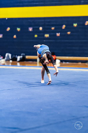 20260123 Senior Night Valley Gymnastics-366