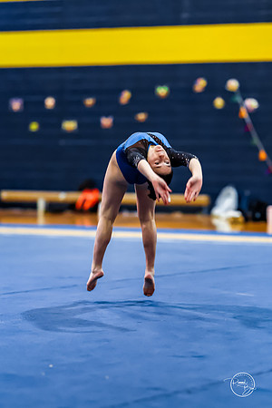 20260123 Senior Night Valley Gymnastics-368