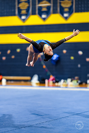 20260123 Senior Night Valley Gymnastics-371