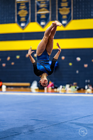 20260123 Senior Night Valley Gymnastics-374