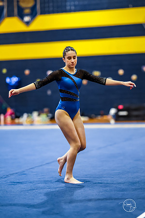 20260123 Senior Night Valley Gymnastics-376
