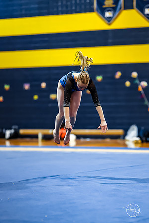 20260123 Senior Night Valley Gymnastics-392