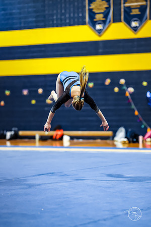 20260123 Senior Night Valley Gymnastics-393
