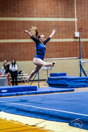 20260123 Senior Night Valley Gymnastics-401
