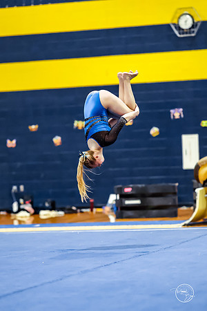 20260123 Senior Night Valley Gymnastics-402