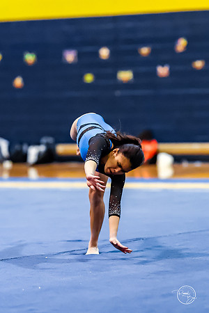 20260123 Senior Night Valley Gymnastics-409