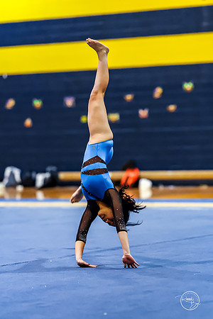 20260123 Senior Night Valley Gymnastics-410