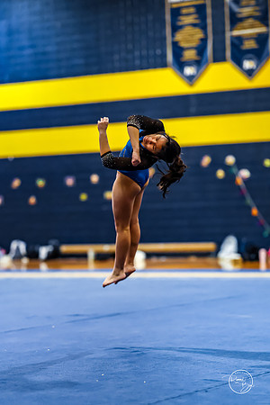 20260123 Senior Night Valley Gymnastics-413