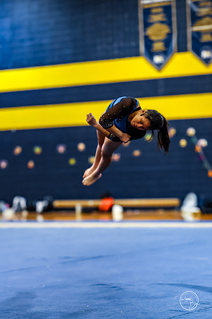 20260123 Senior Night Valley Gymnastics-414