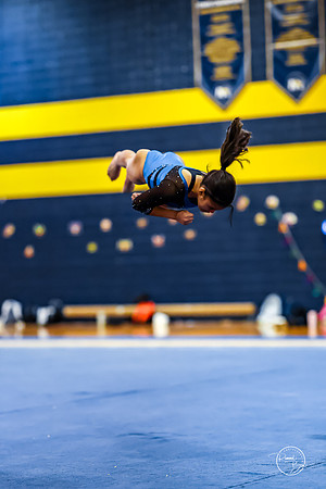 20260123 Senior Night Valley Gymnastics-415