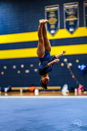20260123 Senior Night Valley Gymnastics-417