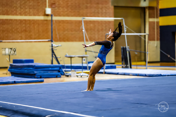 20260123 Senior Night Valley Gymnastics-424