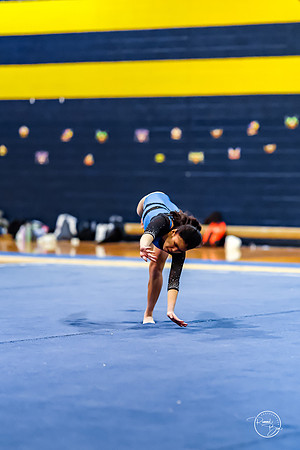 20260123 Senior Night Valley Gymnastics-425