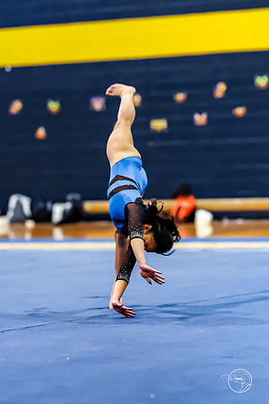20260123 Senior Night Valley Gymnastics-426