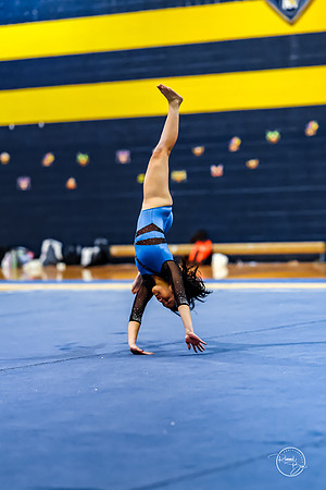 20260123 Senior Night Valley Gymnastics-427
