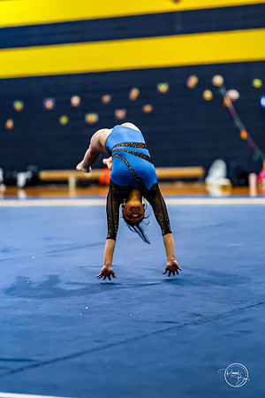 20260123 Senior Night Valley Gymnastics-428
