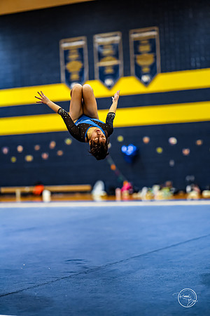 20260123 Senior Night Valley Gymnastics-429