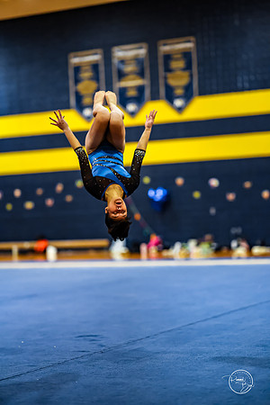 20260123 Senior Night Valley Gymnastics-430