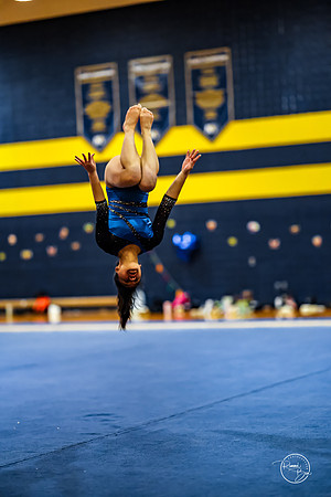 20260123 Senior Night Valley Gymnastics-431