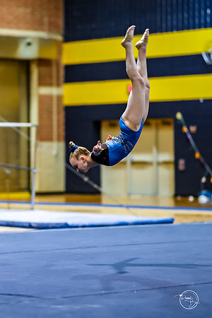 20260123 Senior Night Valley Gymnastics-441