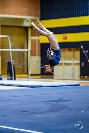 20260123 Senior Night Valley Gymnastics-442