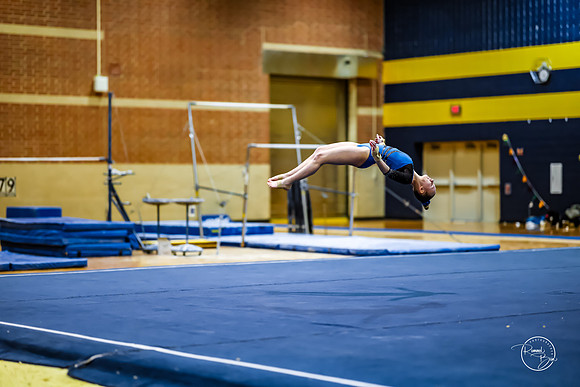 20260123 Senior Night Valley Gymnastics-444