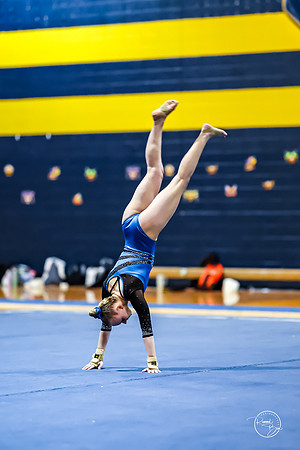 20260123 Senior Night Valley Gymnastics-453