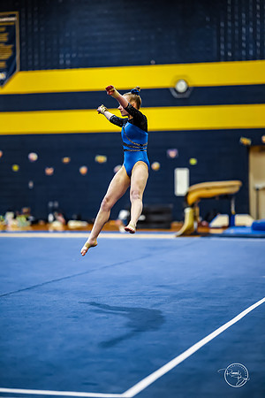 20260123 Senior Night Valley Gymnastics-456