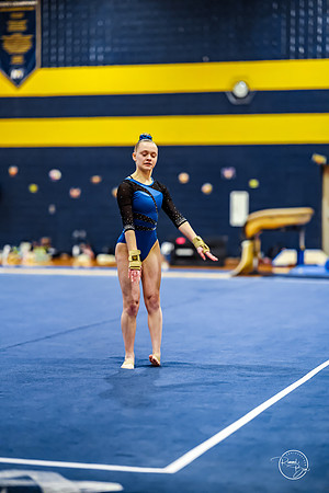 20260123 Senior Night Valley Gymnastics-460