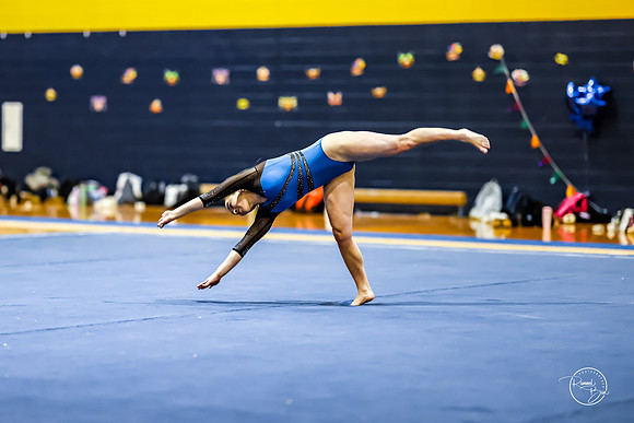 20260123 Senior Night Valley Gymnastics-474