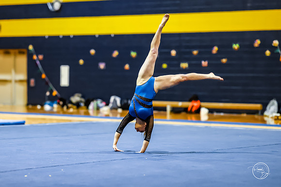 20260123 Senior Night Valley Gymnastics-476