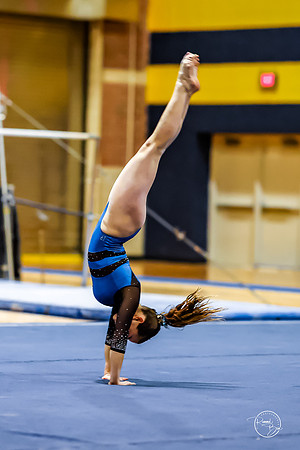 20260123 Senior Night Valley Gymnastics-477