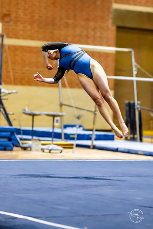 20260123 Senior Night Valley Gymnastics-479