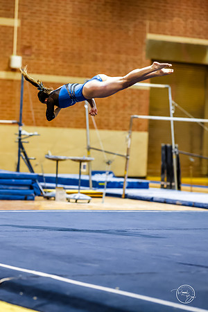 20260123 Senior Night Valley Gymnastics-480