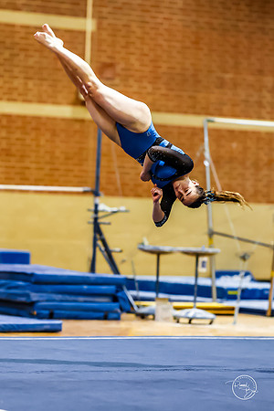 20260123 Senior Night Valley Gymnastics-481