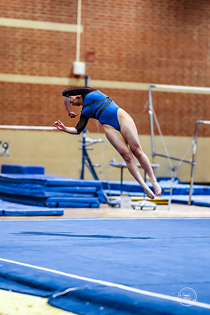 20260123 Senior Night Valley Gymnastics-515