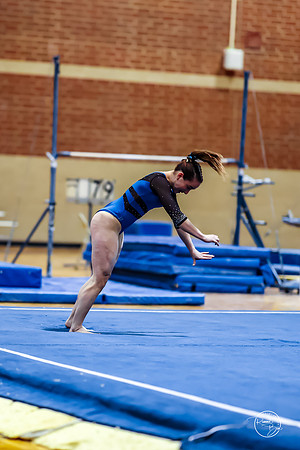 20260123 Senior Night Valley Gymnastics-517