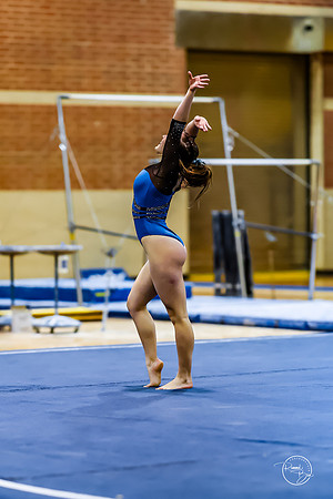 20260123 Senior Night Valley Gymnastics-529