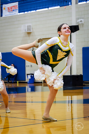 20260124 Dance Sectionals-28