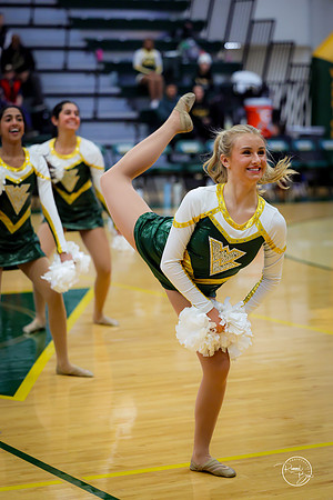 20260123 Winter Dance Senior Night-78