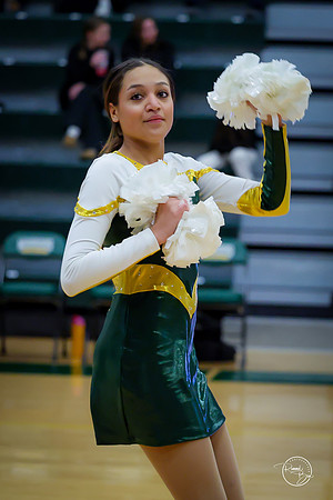 20260123 Winter Dance Senior Night-119
