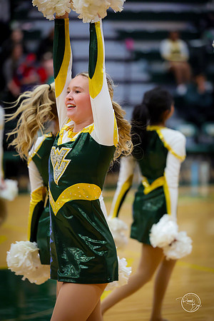 20260123 Winter Dance Senior Night-130