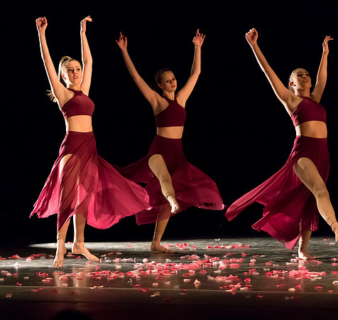 WV Orchesis 2014-15-3180