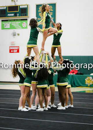 20180116 WV JV Dance Conference-39